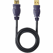 Belkin USB A Ext Cable Dstp - Gold A P/S Cnctr 20/28Awg 6'
