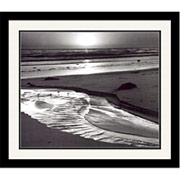"Birds on a Beach, Evening, 1966", Framed Print