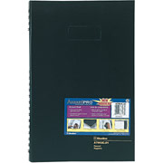 BlueLine Account Pro Record Books, 12-1/2" x 7-7/8"