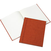 Blueline 9 1/4 " x 7 1/4" Da Vinci Business Journal