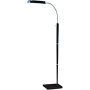 Catalina Full Spectrum Black Floor Lamp