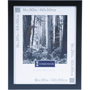 DAX Black Wood Poster Frame, Plexiglas Window, 16 x 20