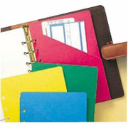 Day-Timer Colorlife Slash Pockets, Desk Size