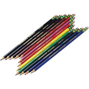 Dixon Ticonderoga Pre-sharpened Erasable Colored Pencils, 12/Box