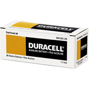 Duracell AA Alkaline Batteries, 96/Pack
