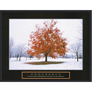 "Endurance - Fall Tree", Framed Print