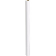 Epson Presentation Matte Paper, 44" x 82', 1 Roll