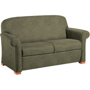 Global Health Care Bishop Loveseat, Ultra-Premium Crypton Suede