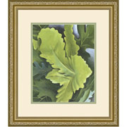 "Green Oak Leaves" Framed Print