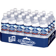 Ice Mountain Spring Water, 16.9 fl. oz.