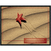 "Individuality" Framed Motivational Print