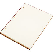 Looseleaf Minute Ledger Sheets, Ivory Linen, 11" x 8-1/2"