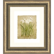 "Narcissus", Framed Print