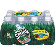 Poland Spring Water 8oz. Bottles; 48 pack