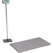 Salter Brecknell 500-lb. Floor Scale, 22" x 22"