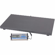 Salter Brecknell 550-lb. Floor Scale, 22" x 22"