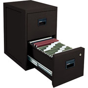 Sentry 1-Hour 2-Drawer Fire Resistant Vertical File Cabinet, Black