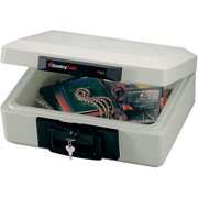 Sentry Safe Fire-Safe 1160, .25 Cubic Ft. Capacity