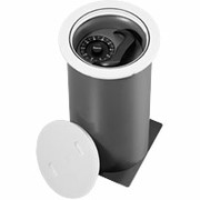 Sentry Safe Floor Safe 7250, .31 Cubic Ft. Capacity