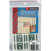 Smead Alpha-Z Color-Coded Labels Second Letter, Set T, Gray