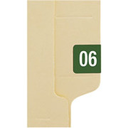 Smead End-Tab Bar Style Color-Coded Year Labels, 2006 - Green