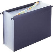 Staples Hanging Poly Expanding File, Letter, Jan-Dec Index, 12 Pockets, Each