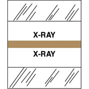 Tabbies Medical Chart Index Divider Sheet Tabs, X-Ray, Brown