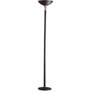 Torchiere Incandescent Floor Lamp