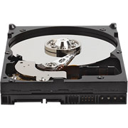 Western Digital 250GB SATA Internal Hard Drive