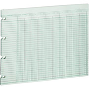 Wilson Jones Double Column Columnar Sheets, 9 1/4" x 11 7/8", 16 Columns