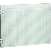 Wilson Jones Single Page Columnar Sheets, 11" x 14", 10 Columns
