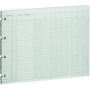 Wilson Jones Single Page Columnar Sheets, 9 1/4" x 11 7/8", 10 Columns